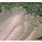 Gyöngyház hatású mica pigment por - fügekaktusz, 10g