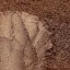 Gyöngyház hatású mica pigment por - rubinbarna, 45g