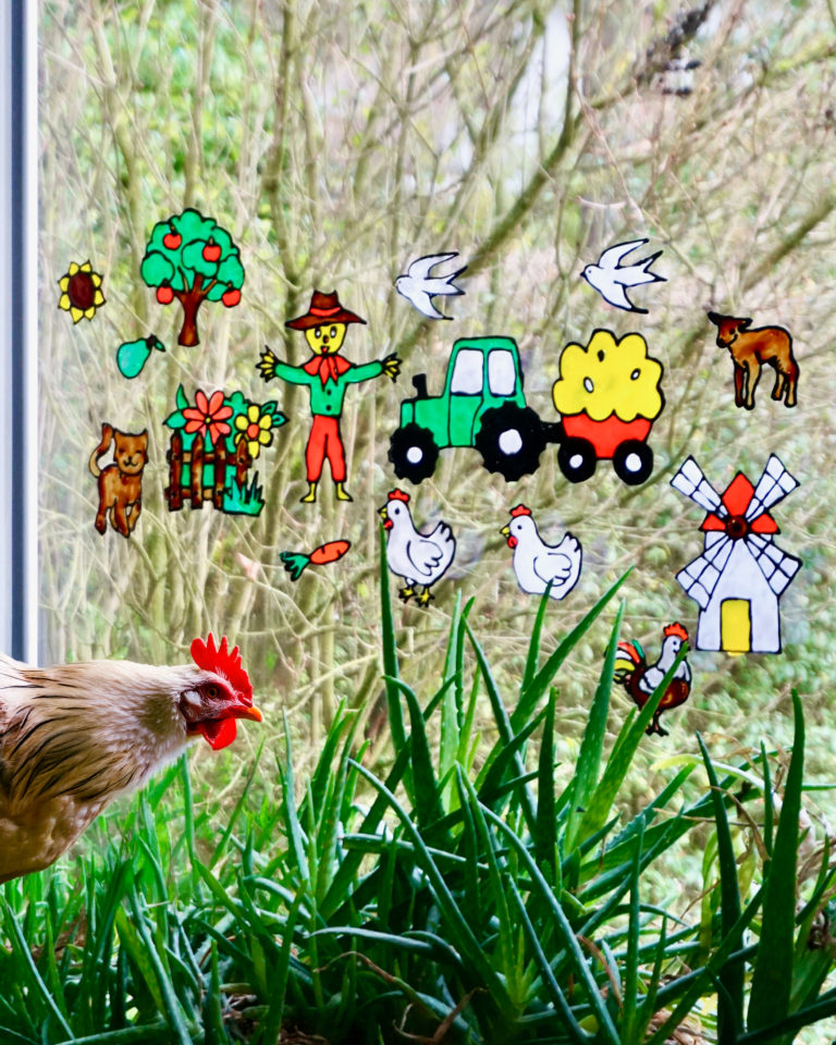 Ablakra ragasztott farm jelenet almafával, macskával és borjúval, a kertben egy valódi tyúkkal